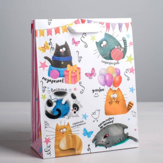 Пакет подарочный ПК-383 «Забавные коты», 12 × 15 × 5,5 см