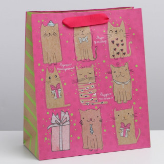 Пакет подарочный ПК-384 «Милые котики», 23 × 27 × 11,5 см